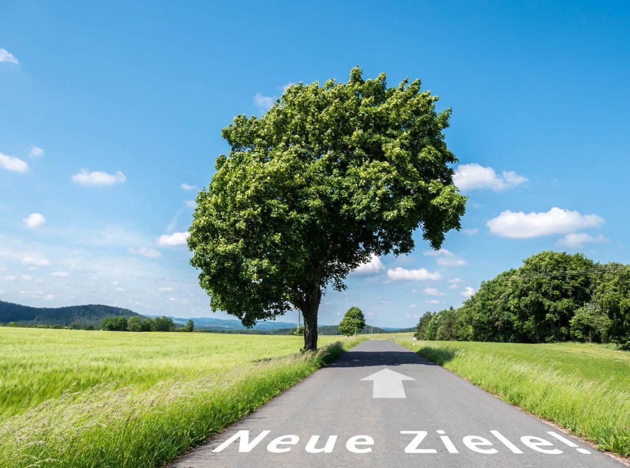 Asfalt vej med grønne marker og stort træ, hvor der er skrevet 2 tyske ord og stor hvid pil